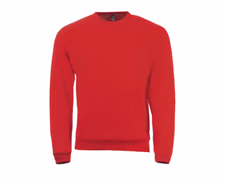 SPIDER Men's round-neck sweatshirt