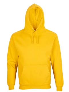 Unisex condor hooded sweatshirt