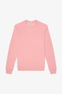 3901 Unisex Sponge Fleece Raglan Sweatshirt