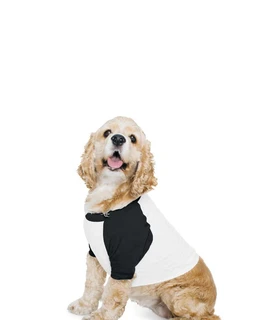 Tričko Dog Poly-Cotton 3/4 Sleeve Raglan
